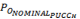 17.png